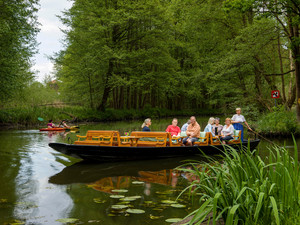 Spreewald Kahnfahrt bei Schlepzig