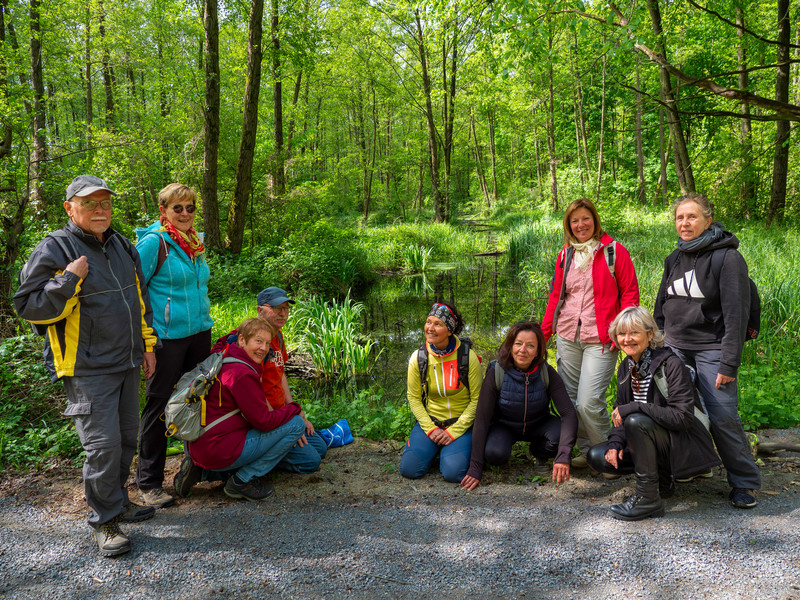 Fastengruppe im grünen Spreewald unterwegs