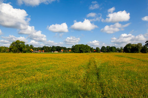 Weite blühende Wiesen am Dorfrand bei Schlepzig