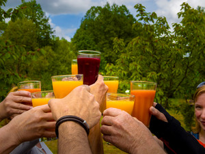 Anstoßen zum Fastenwandern mit köstlichen frischen Säften